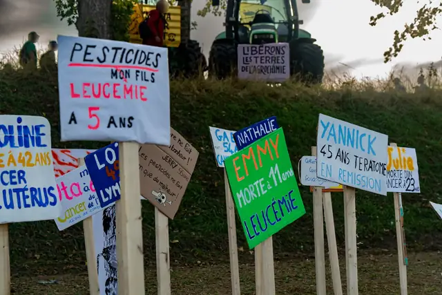 The signs in the cemetery: “Pesticides, my son, leukaemia at 5” (“Pesticides, mon fils, leucémie à 5 ans”), “Emmy, died at 11, leukaemia” (“Emmy, morte à 11 ans, leucémie”)