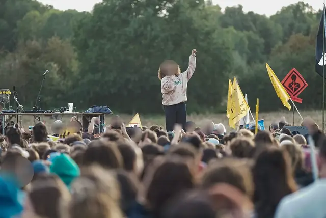 A singer on stage facing a dense crowd, among yellow flags