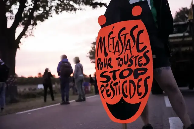 At dusk, an orange sign: “Metastasis for everyone, stop pesticides” (“Métastase pour toustes, stop pesticides”)