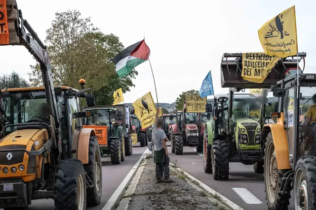 A line of tractors with Confédération paysanne flags and a Palestinian flag